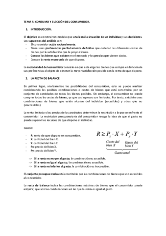 TEMA-5.pdf