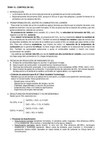 TEMA-13-CONTROL-DE-SOX.pdf