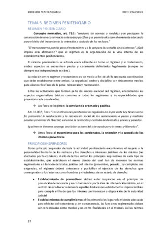 TEMA-5-PENITENCIARIO.pdf