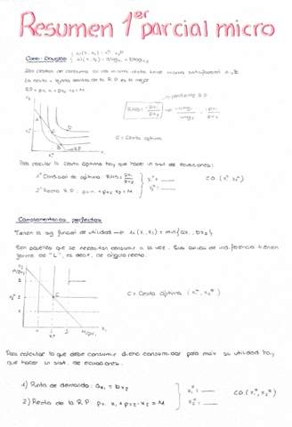 apuntes-para-problemas-micro-1parcial.pdf