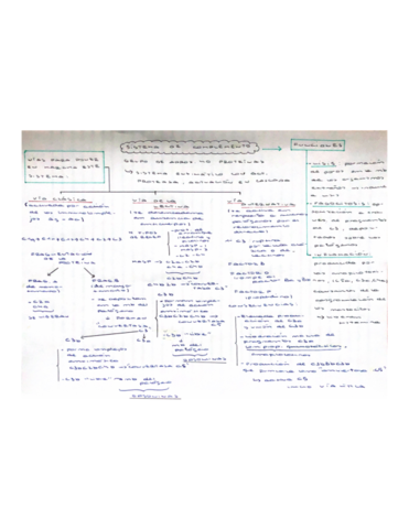 esquema-sistema-del-complemento.pdf