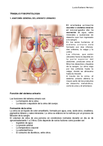 TRABAJO-FISIOPATOLOGIA.pdf