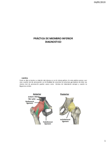 Practica-5.pdf