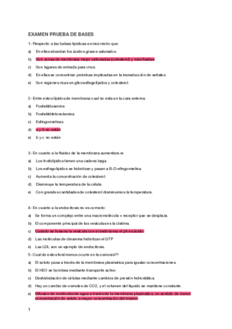 examen-bases-prueba.pdf