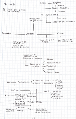 TEMA-3.jpg