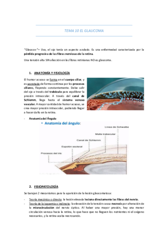 TEMA-10-EL-GLAUCOMA.pdf