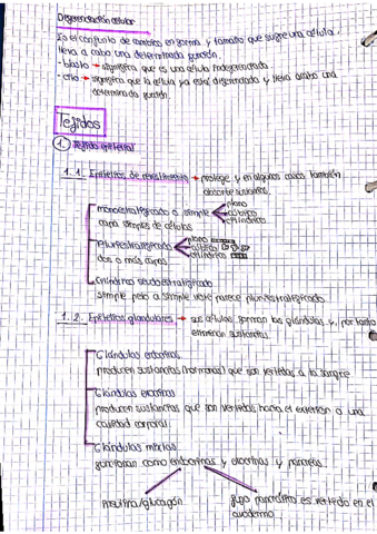 CamScanner-11-16-2020-21.pdf