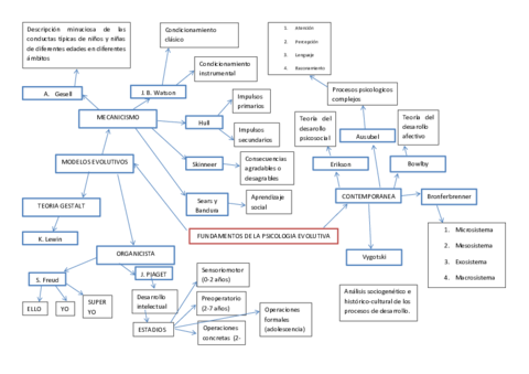 Mapa-conceptual-CAS.pdf