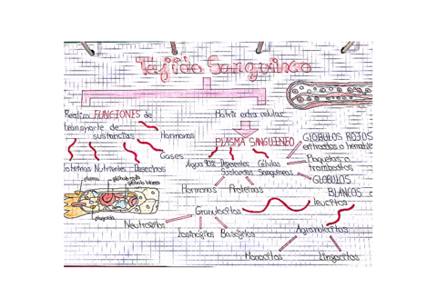 CamScanner-11-16-2020-21.pdf