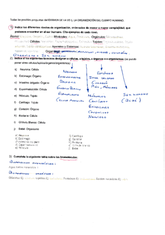 CELULAS-BIOLOGIA-Y-GEOLOGIA.pdf