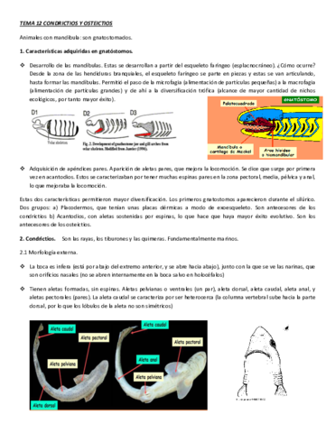 tema-12-condrictios-y-osteictios-pdf.pdf