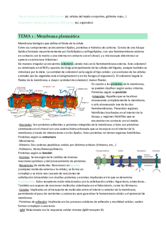Tema-1-membrana-plasmatica.pdf
