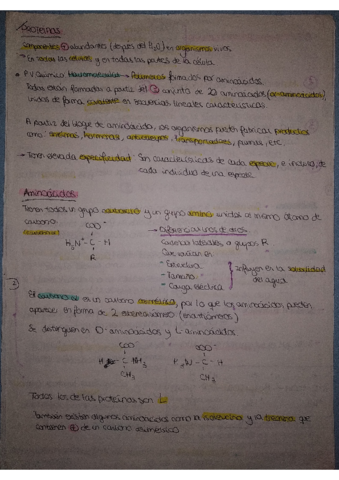Proteinas-Selectividad-biologia-1.pdf