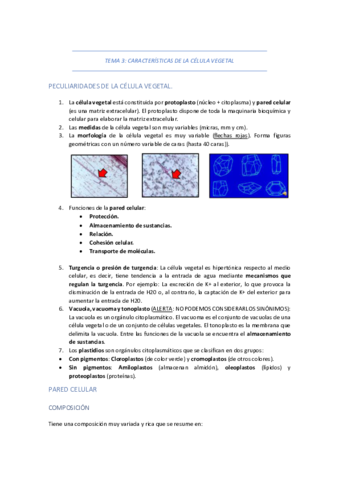 TEMA-3-CARACTERISTICAS-DE-LA-CELULA-VEGETAL.pdf