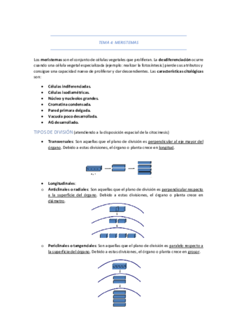 TEMA-4-MERISTEMAS.pdf