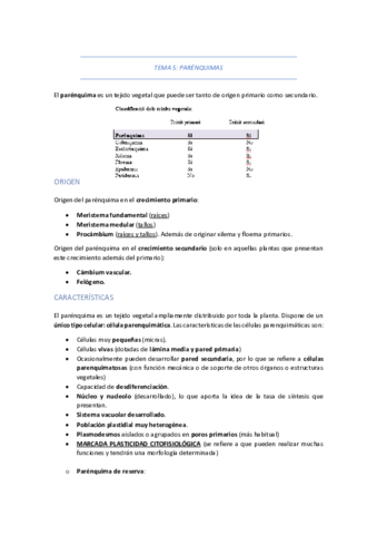TEMA-5-PARENQUIMAS.pdf