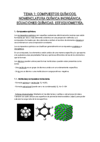 TEMA-1.pdf