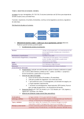 TEMA-5-examen.pdf