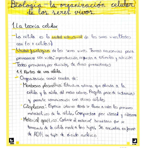 la-organizacion-celular-de-los-seres-vivos.pdf