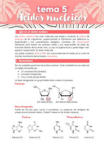 TEMA-5-ACIDOS-NUCLEICOS.pdf