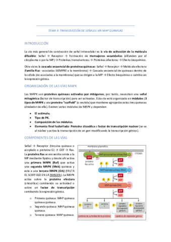 TEMA-9-TRANSDUCCION-DE-SENALES-VIA-MAPK.pdf
