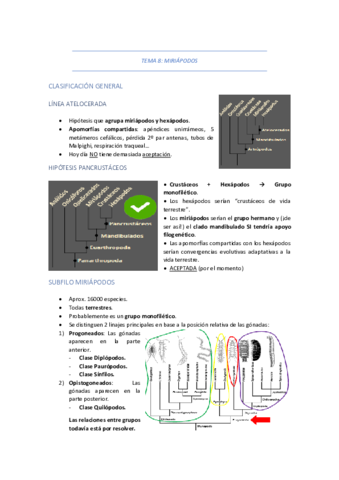 TEMA-8-MIRIAPODOS.pdf