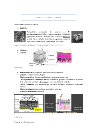 TEMA-2-LA-CUTICULA-Y-LA-MUDA.pdf