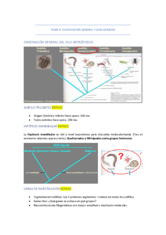 TEMA-6-CLASIFICACION-GENERAL-Y-QUELICERADOS.pdf