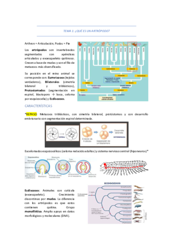 TEMA-1-QUE-ES-UN-ARTROPODO.pdf