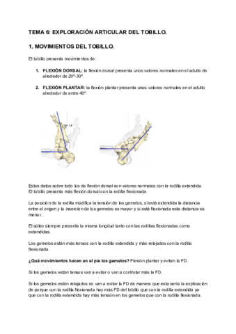 TEMA-6-EXPLORACION-ARTICULAR-DEL-TOBILLO-1.pdf