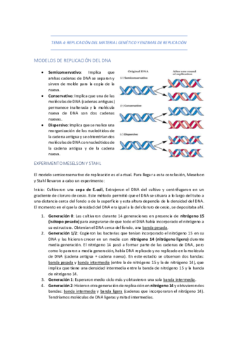 TEMA-4-REPLICACION-DEL-MATERIAL-GENETICO-Y-ENZIMAS-DE-REPLICACION.pdf