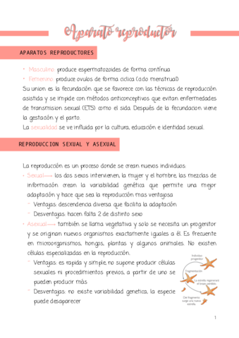 APARATO-REPRODUCTOR.pdf