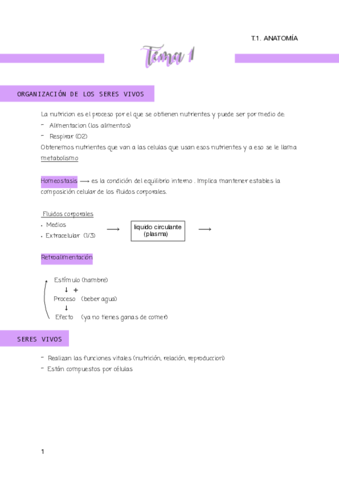 ORGANIZACION-DE-LOS-SERES-VIVOS-and-APARATO-RESPIRATORIO.pdf