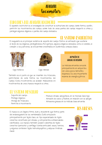 APARATO-LOCOMOTOR.pdf