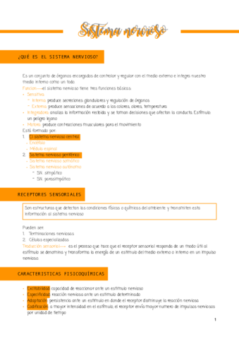 SISTEMA-NERVIOSO.pdf