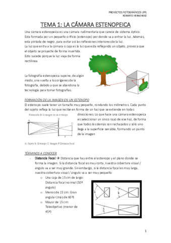 TEMA-1-PF.pdf