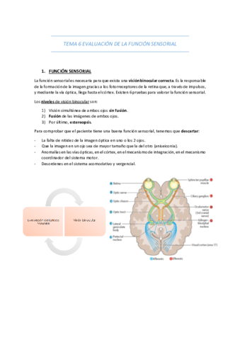 TEMA-6-EVALUACION-DE-LA-FUNCION-SENSORIAL.pdf