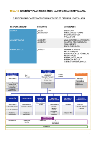 Farmacoeconomia-Tema-13.pdf