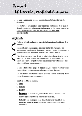 TEMA-1-IBD.pdf
