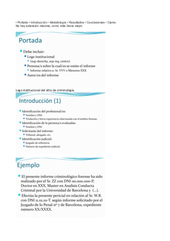 Estructura-informe-pericial.pdf