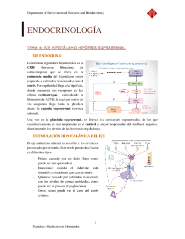 ENDOCRINOLOGIA-TEMA-4-COMPLETO.pdf