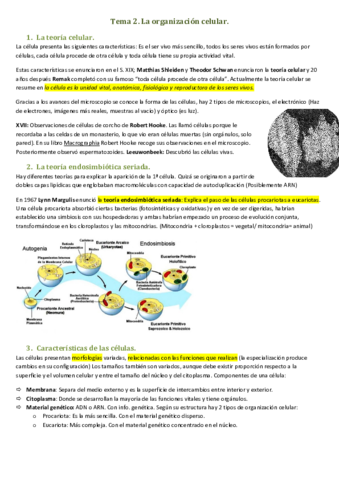 La-organizacion-celular.pdf