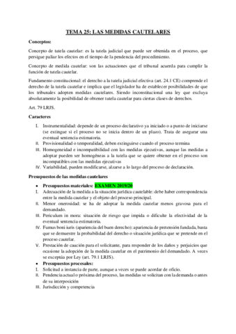 Tema-25-Procesal.pdf