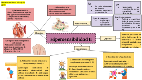 Hipersensibilidad-Pte-2-resumen.pdf