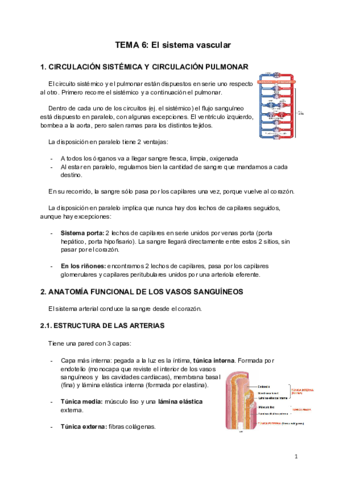 6FH-7FH-Sistema-vascular.pdf
