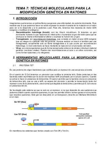 MODELOS-T7.pdf