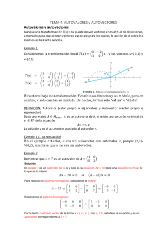 TEMA-4.pdf