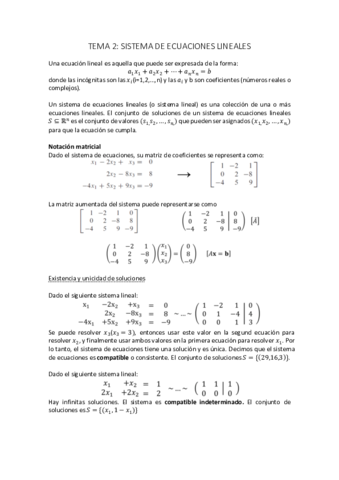 TEMA-2.pdf