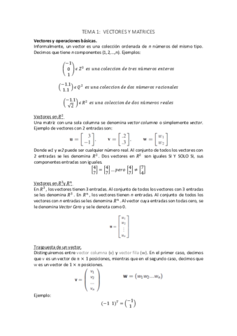 TEMA-1.pdf