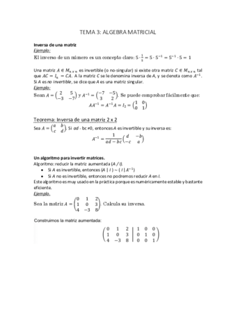 TEMA-3.pdf